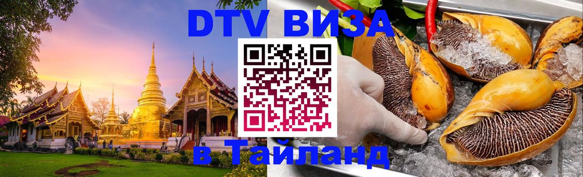 Сколько стоит DTV виза — актуальные цены, оформление даже без документов - Химки 